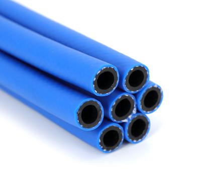 PVC Double-layer Family Lpg Hose